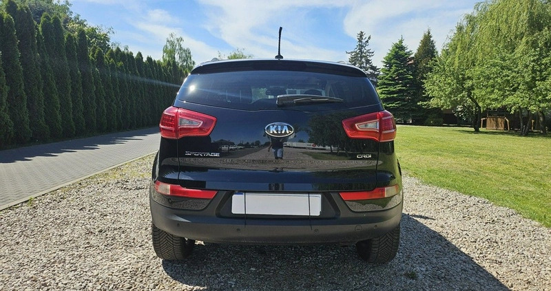 Kia Sportage cena 59999 przebieg: 173000, rok produkcji 2013 z Nidzica małe 562